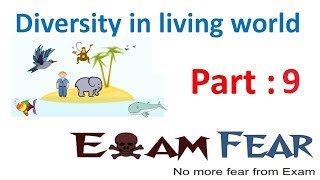 Biology Diversity in Living World part 9 (Species, Genus, Family) CBSE class 11 XI