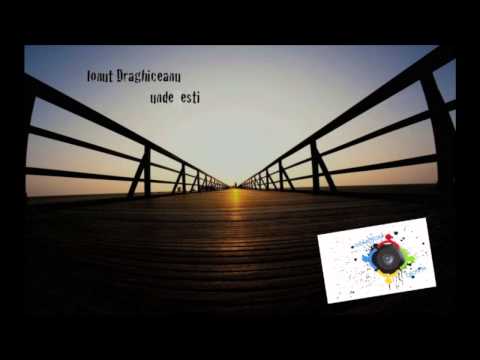 Ionut Draghiceanu -unde esti