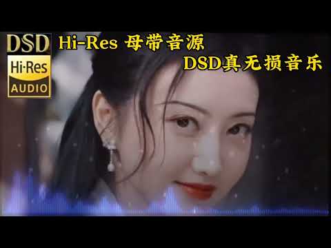 Hi-Res无损音乐《我有一段情》极品发烧女声 极致音质！ #无损音乐 #试音极品 #车载u盘