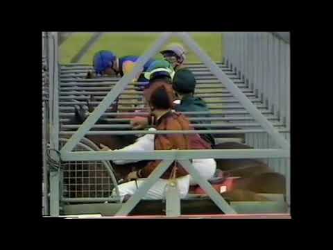 1988 Irish Derby Curragh