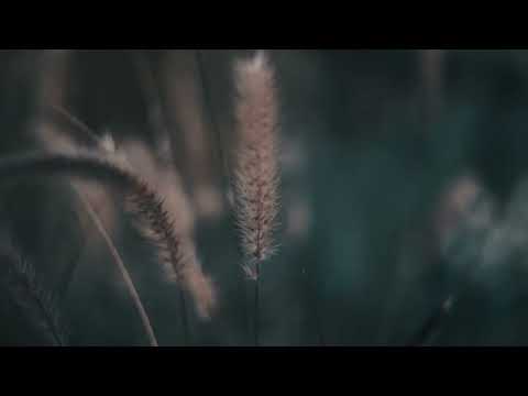 [1HOUR LOOP]Do You Still Know-Daniel Gunnarsson