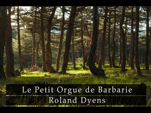 Le Petit Orgue de Barbarie - Roland Dyens - Guitar: Emre Ünlenen