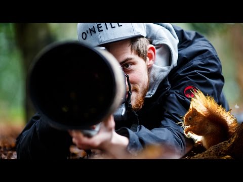 Eichhörnchen mit Blitz fotografieren - outdoor vibes
