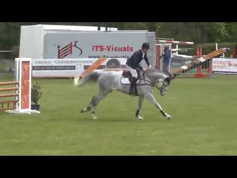 Sold Call me Claus 7y/o gelding by Cancara(Cassini I)XLudwig von Bayern Springpferde L Jülich 7,8