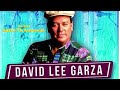 SUFRO TU AUSENCIA - DAVID LEE GARZA.
