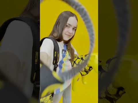 Игрушка для собак WAUDOG Fun с пищалкой, рисунок "Смайлы", длина 16 см - фото 1 - id-p2572107525