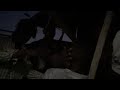 Stonebwoy - Top Skanka (official video)