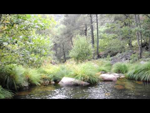 GREDOSTOPÍA-Rio Arbillas entre Poyales del Hoyo y Arenas de San Pedro (Ávila-Spain)
