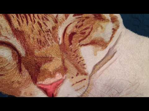 Go Tell it at the Quilt Show! interview with Pam Seaberg