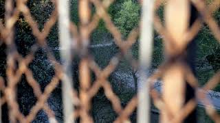 Evolution (Cat Power)