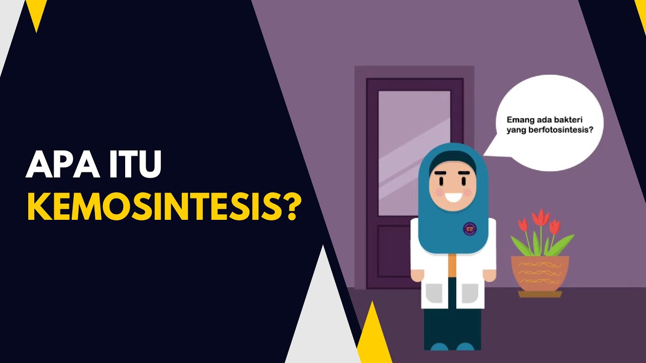 Gimana 'sih' bakteri melakukan kemosintesis