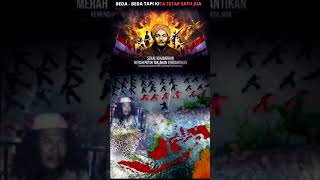 Download lagu Story WA Pagar Nusa || Az-zahir 'Nusantara' mp3