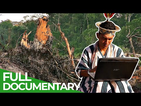 Saving Amazonia : Indigenous Internet Warriors