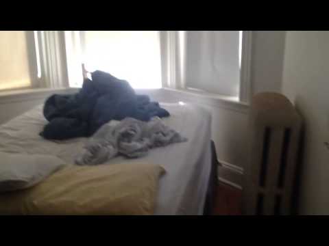 Allston Packard's Corner Studio On B-line