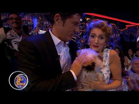 Silvia Abril pasea a Stevie - TCMS4