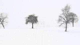 Peter Warlock - "Bethlehem Down" - A Carol for String Orchestra (arr. Philip Lane)