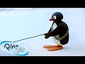 A Balancing Act Pingu Official Channel Cartoons For Kids