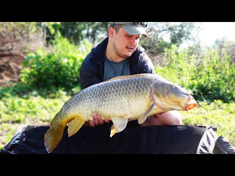 CEKAMO SARANA, A LOVIMO BABUSKE EP10