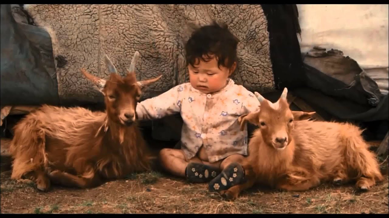 Teoria de Brofenbrenner