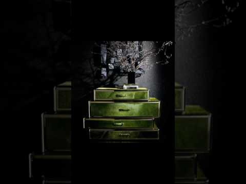 نوف الحواسي ( roberto cavalli interiors )