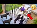 Best Try Not To Laugh Funny Fails 2026 😂 Viral Compilation Video & Instant Regret Moments
