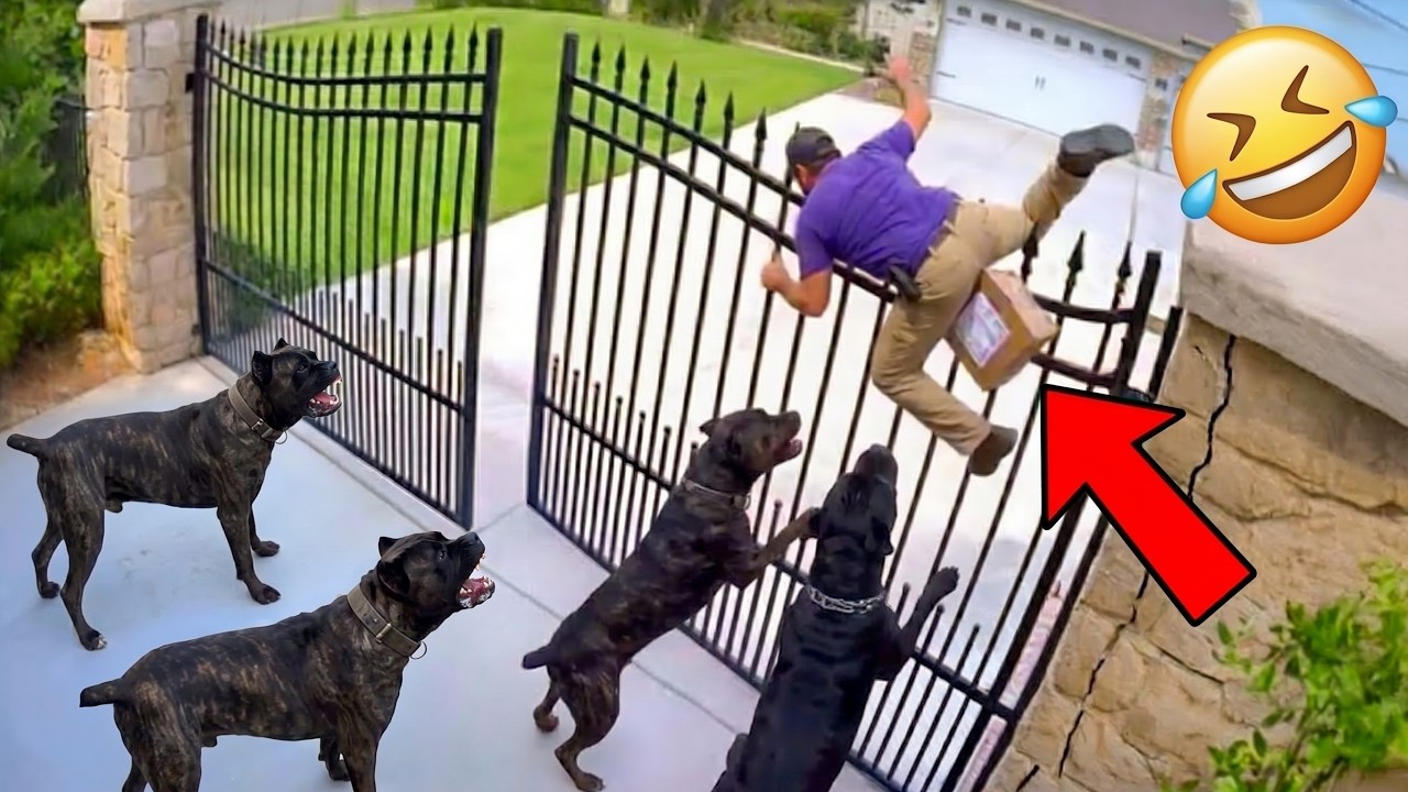 Best Try Not To Laugh Funny Fails 2026 😂 Viral Compilation Video & Instant Regret Moments