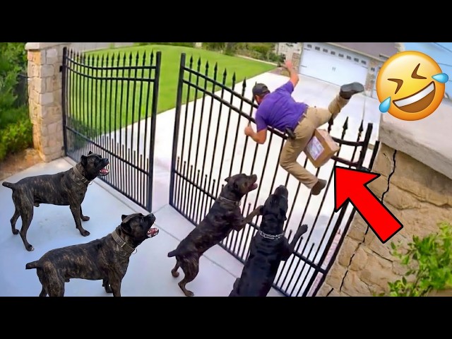 Best Try Not To Laugh Funny Fails 2026 😂 Viral Compilation Video & Instant Regret Moments
