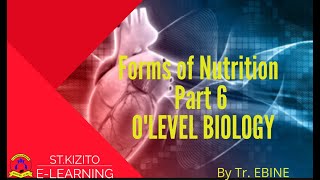 Forms of nutrition S.2 Biology