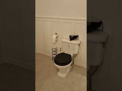 SASE Construction Ltd video.
