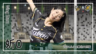 【台湾チア】妡0 | Wing Stars | 陳文杰,王柏融,張肇元 應援曲 + 嗆司曲 氣蓋山河 [中文歌詞]