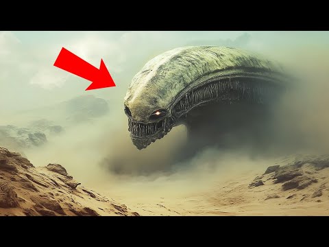 Unheimlichstes Lebewesen im Weltraum entdeckt – Was ist es?