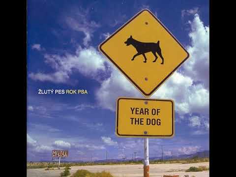 Žlutý pes - Nádherný ráno (2006)