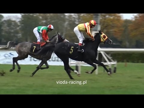 Gon. V - 24.10.2015 - Nita (Nougatin - Nambi)