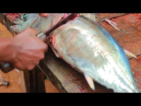 Salmon Fish Cutting Skills | Fish Cutting Experts | Capture TV
