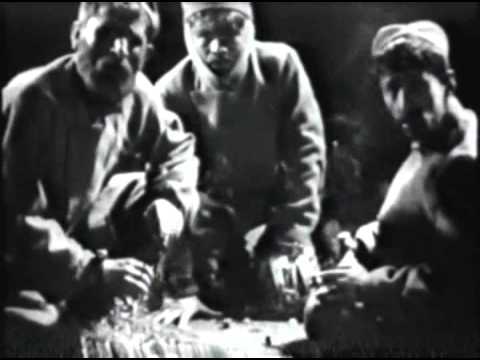 დარიკო