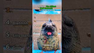 Ranking the Silliest Seal Moments!