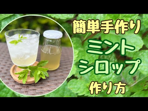 ホップティーの使い方、作り方、効果 植物