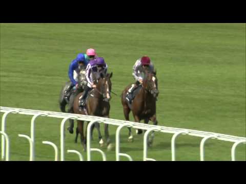 2014 Qipco Sussex Stakes - Kingman - Racing UK