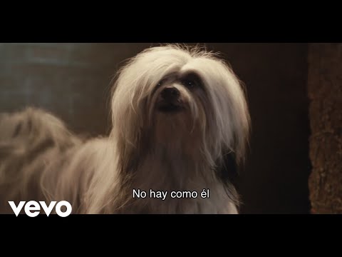 Video thumbnail for Es un golfo (2019)