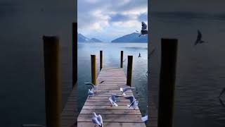 Download lagu Parindo Ki Tarah Ye Dil Hai Safar Mein Love Whatsapp Status mp3