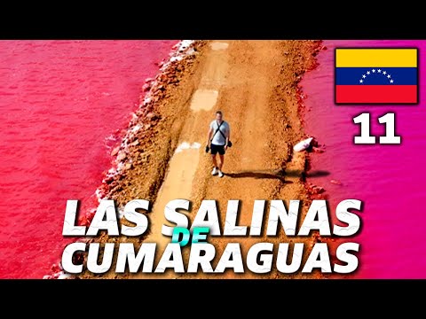 SALINAS DE CUMARAGUAS 🩷 The PINK sea of ​​VENEZUELA that will make you FALL IN LOVE