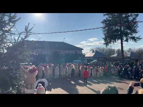 Uratori la Primaria Comunei Girov - 31 decembrie 2023 - partea 1