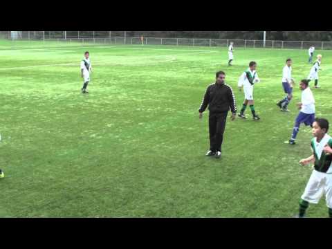 DHC D1 - Leonidas D1