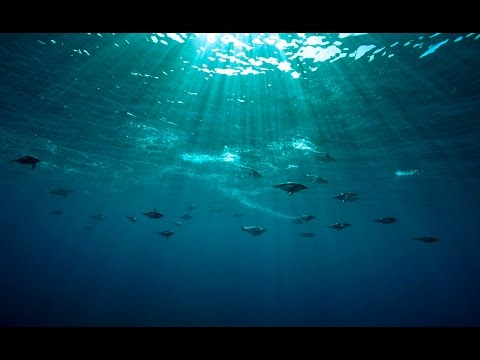 Gombessa 3 expedition - Episode 33