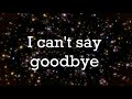 The Amazing World Of Gumball Goodbye Lyrics