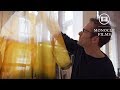 Brussels Antwerp The Monocle Travel Guide