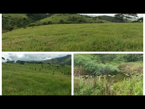 32.5 Hectares de terra para vender  Palmeirina PE a 6 KM da cidade Informações (87)981403664