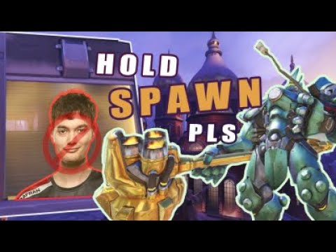 SpawnCamping Dafran with REINHARDT