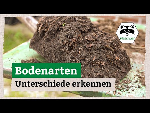 Die verschiedenen Bodenarten