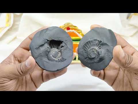 Padmanabhaswamy Lord Vishnu Shaligrama Shila in the Anantha Shayana Posture sleep on Adi Shesha video